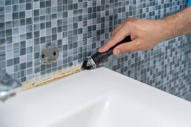 Best Toxic Mold Removal  in Fayette, OH